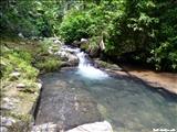 Bosque Estatal de Toro Negro - OROCOVIS, JAYUYA, JUANA DÍAZ